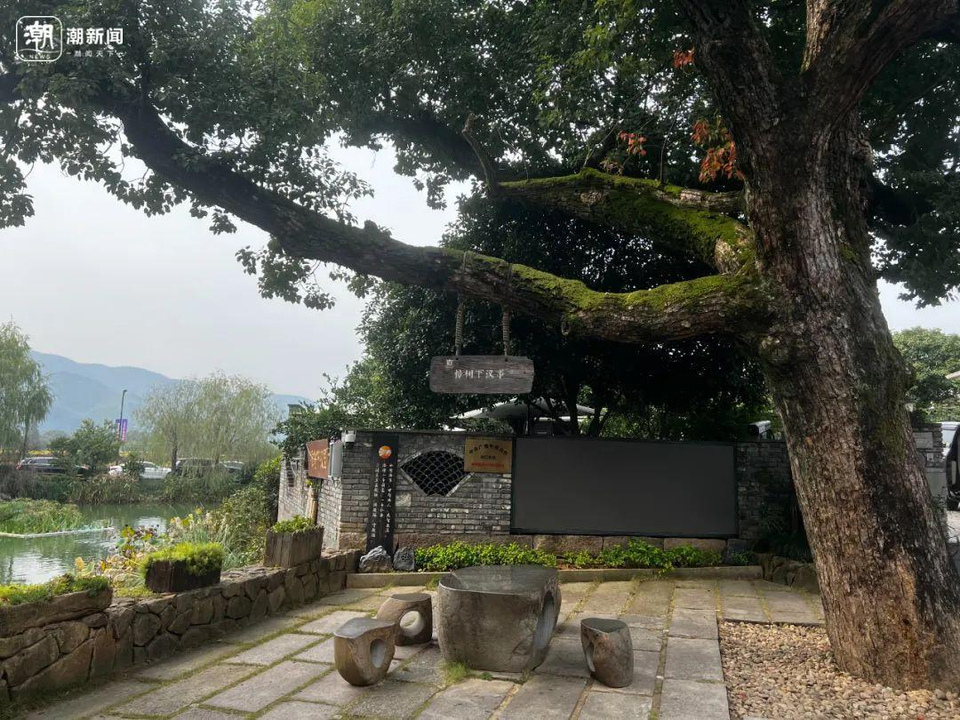 全国各地的游客、考察团络绎不绝，浙江这个村里藏着什么法宝？