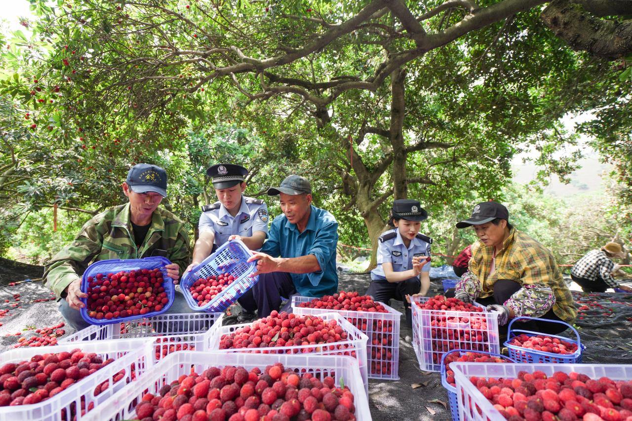 警伴杨梅红