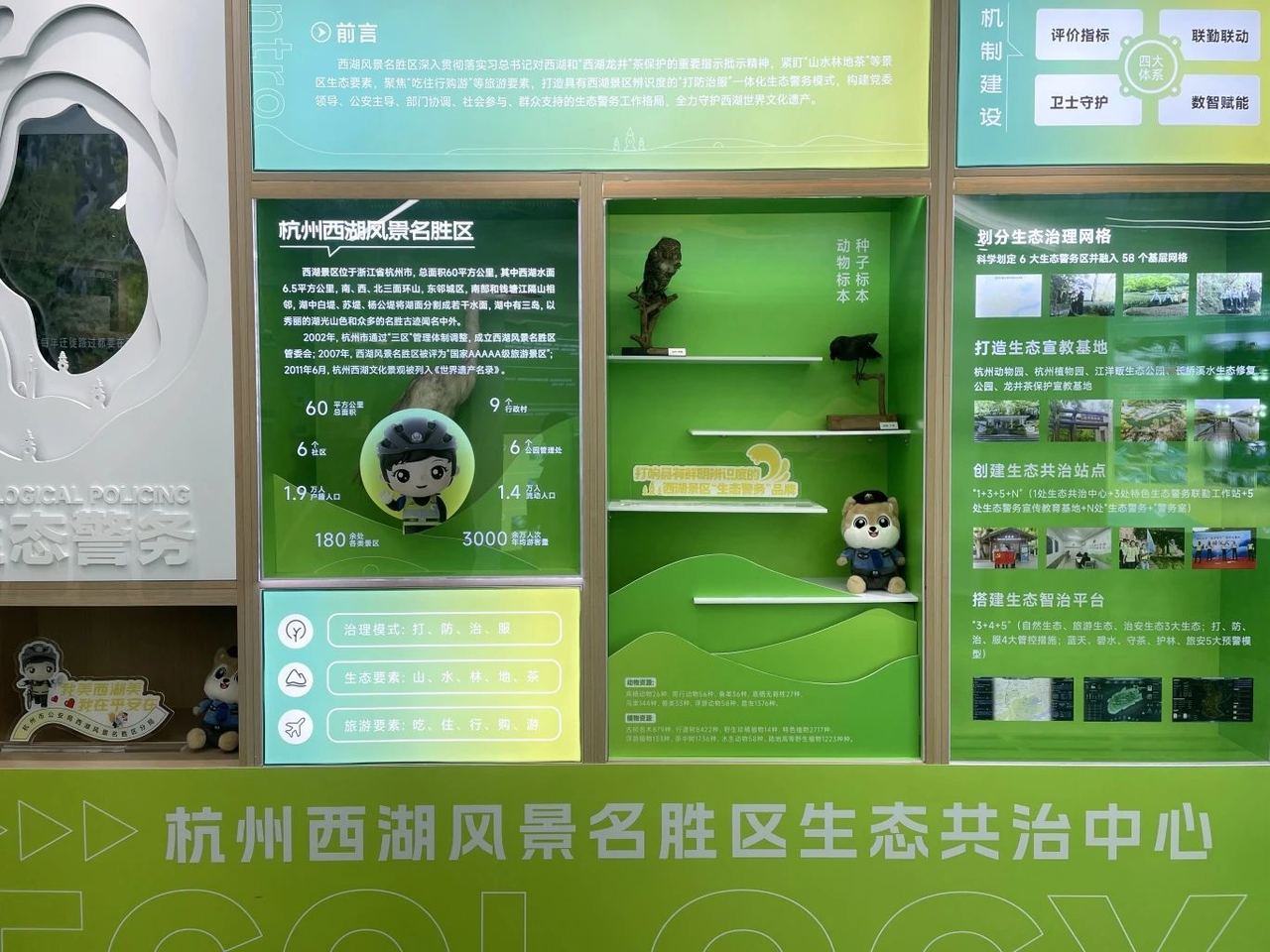 共护西湖美，守好一片叶